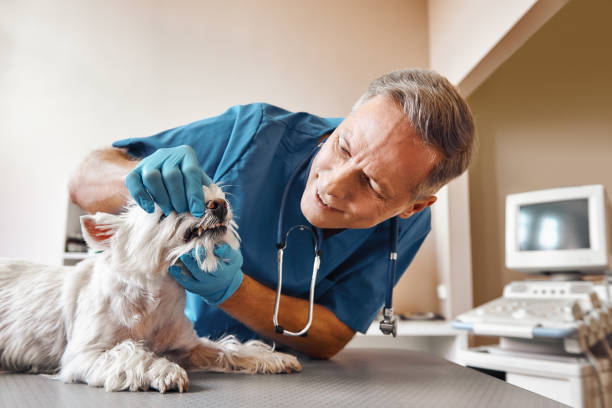 Best 24-Hour Emergency Dentist in Munford, AL